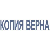 Штамп-Копия-02 38*08